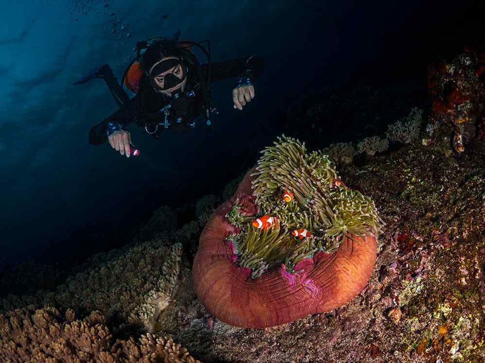 a scuba diver goes on a deep dive