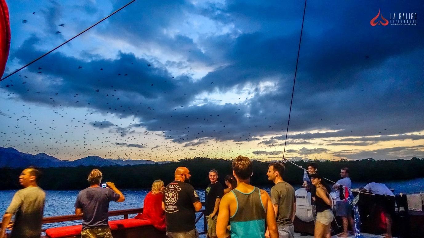 A breathtaking view of the sunset in Komodo Island where the Kalongs or Fruit Bats are migrating.