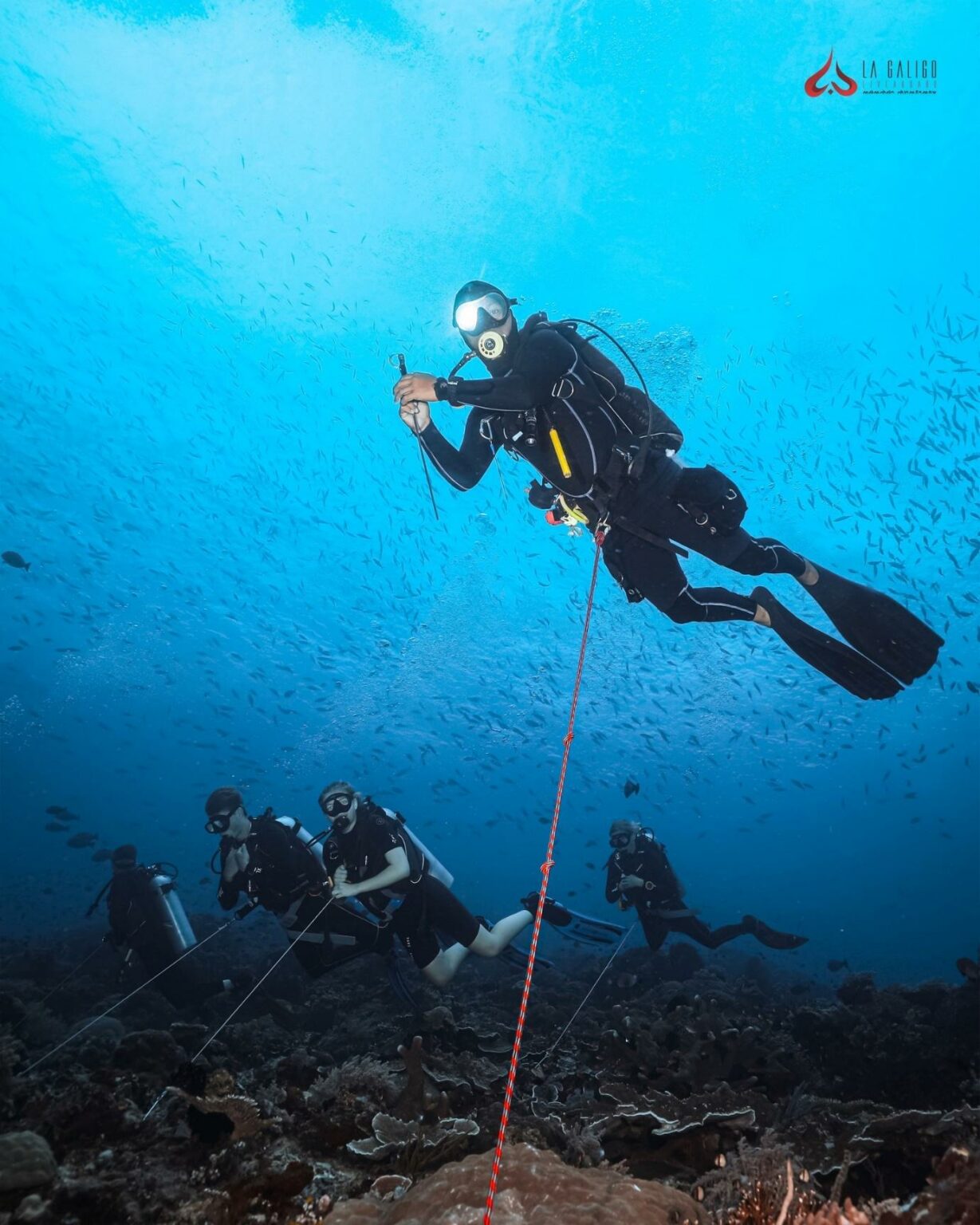 Scuba diving in Komodo