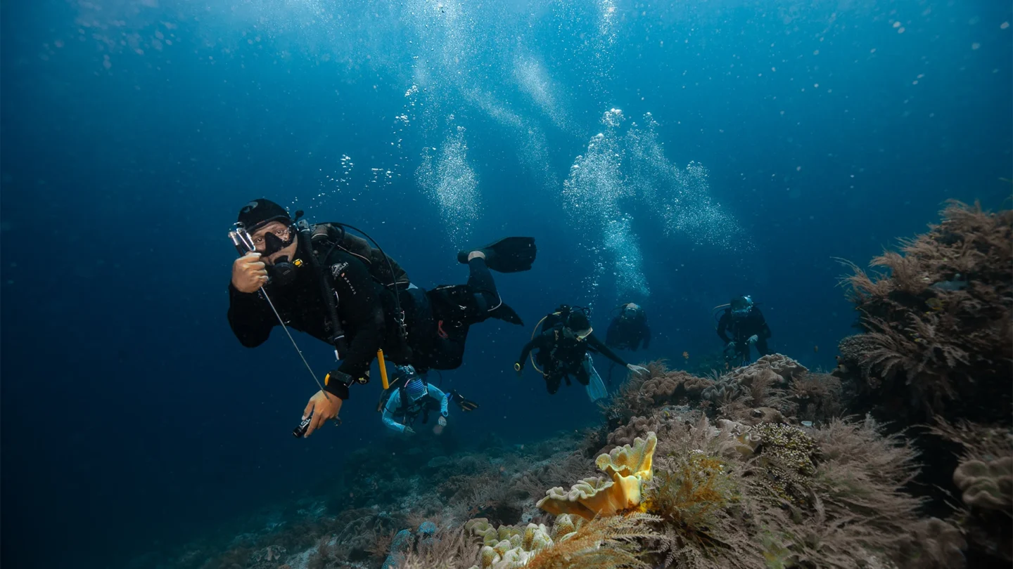 scuba diving in the Cauldron, Komodo