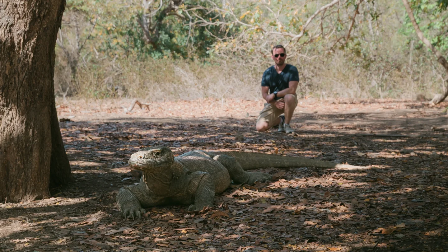 A man poses just behind Komodo Dragon