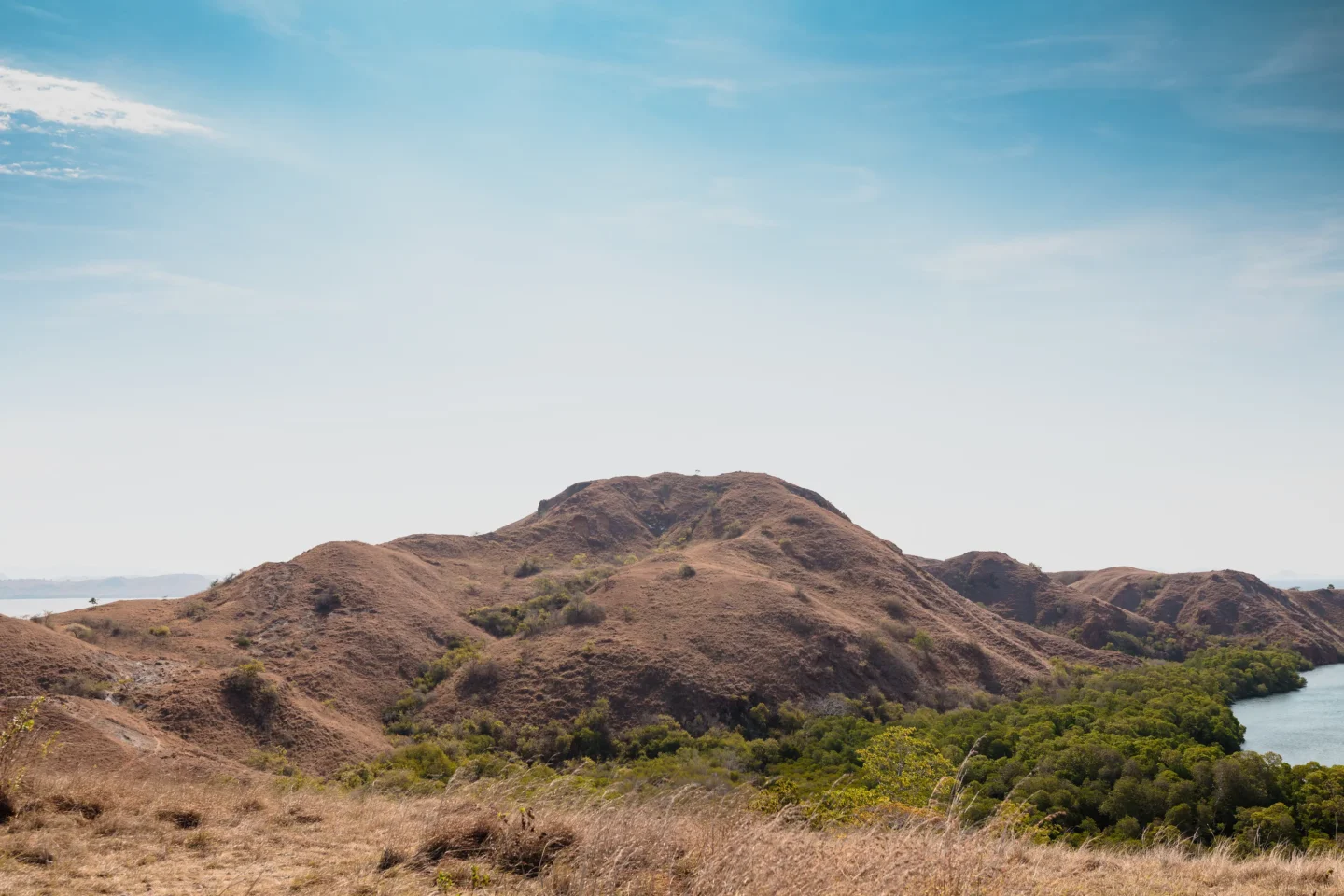 panoramic view Rinca Island