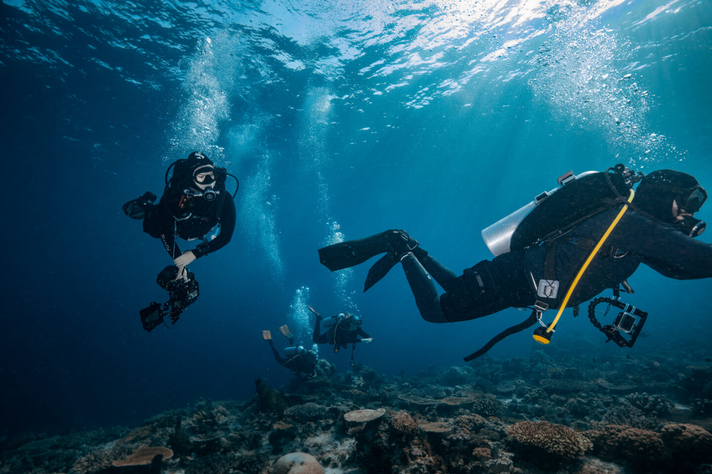 a group of scuba divers diving in Komodo National Park