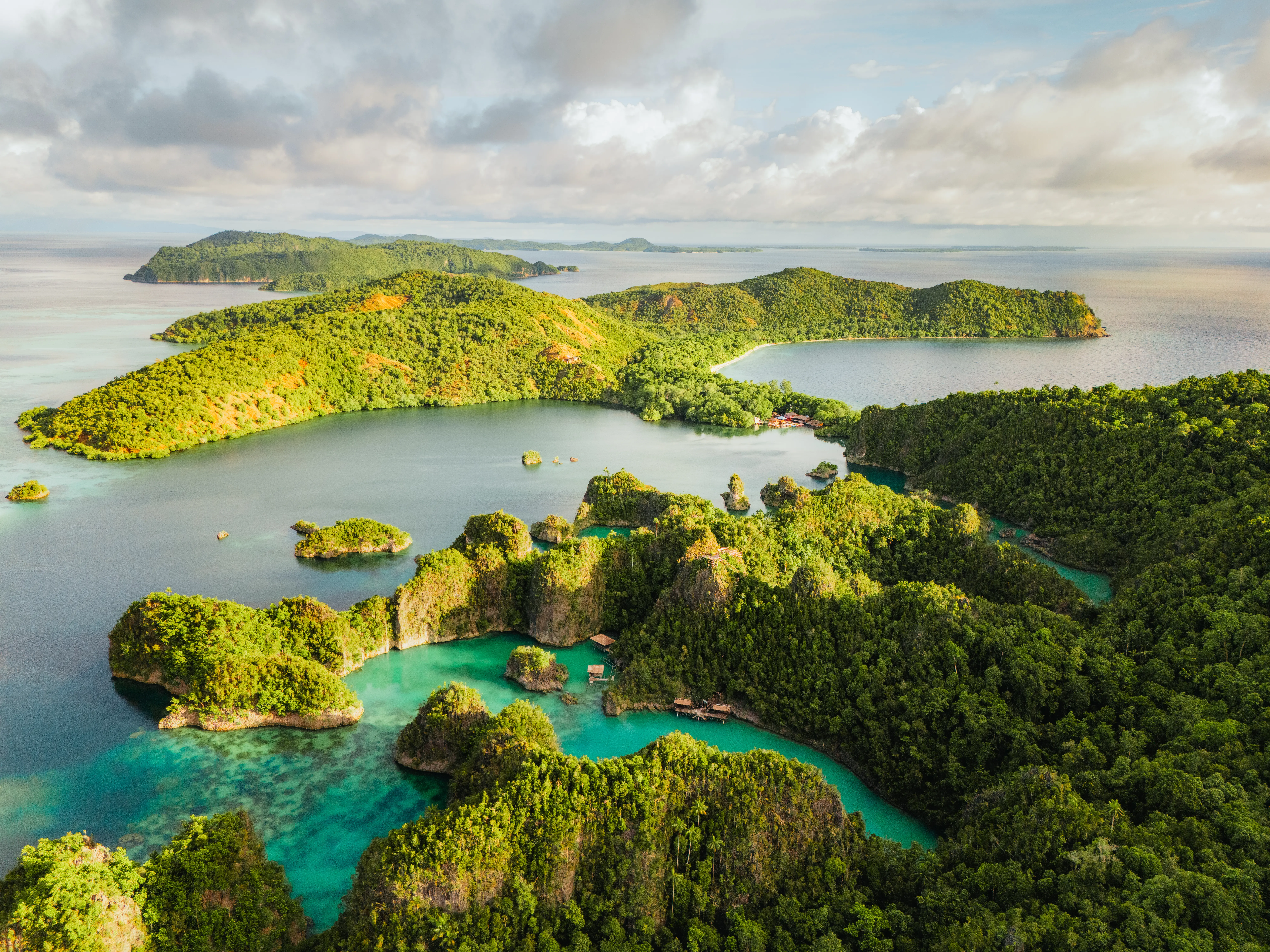 Panoramic view from Piaynemo showing scattered karst islands rising from turquoise lagoons in Raja Ampat.
