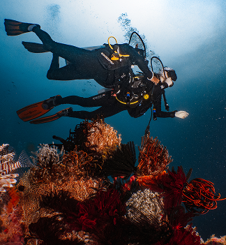 Dive instructors and dive centers