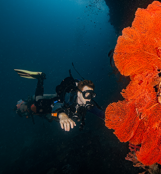 Naturalist diver exploring coral reef
