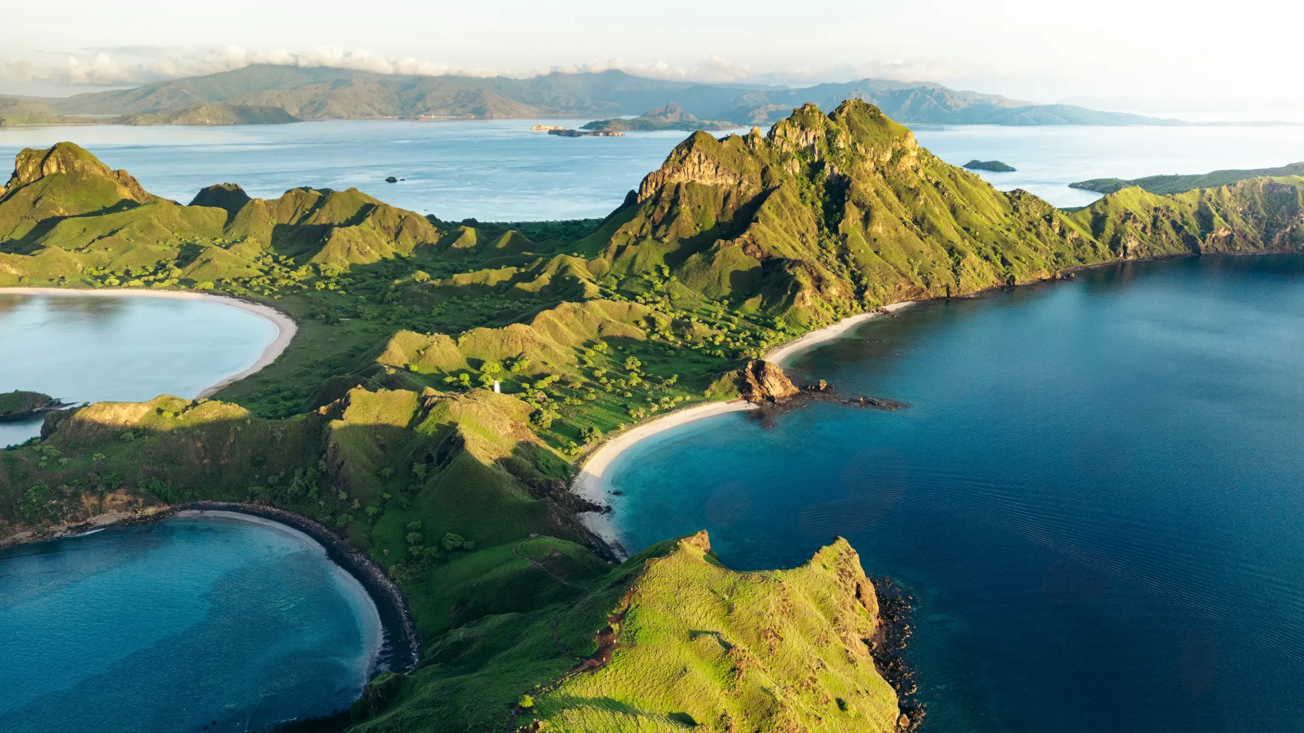 Komodo Dragon on a beach