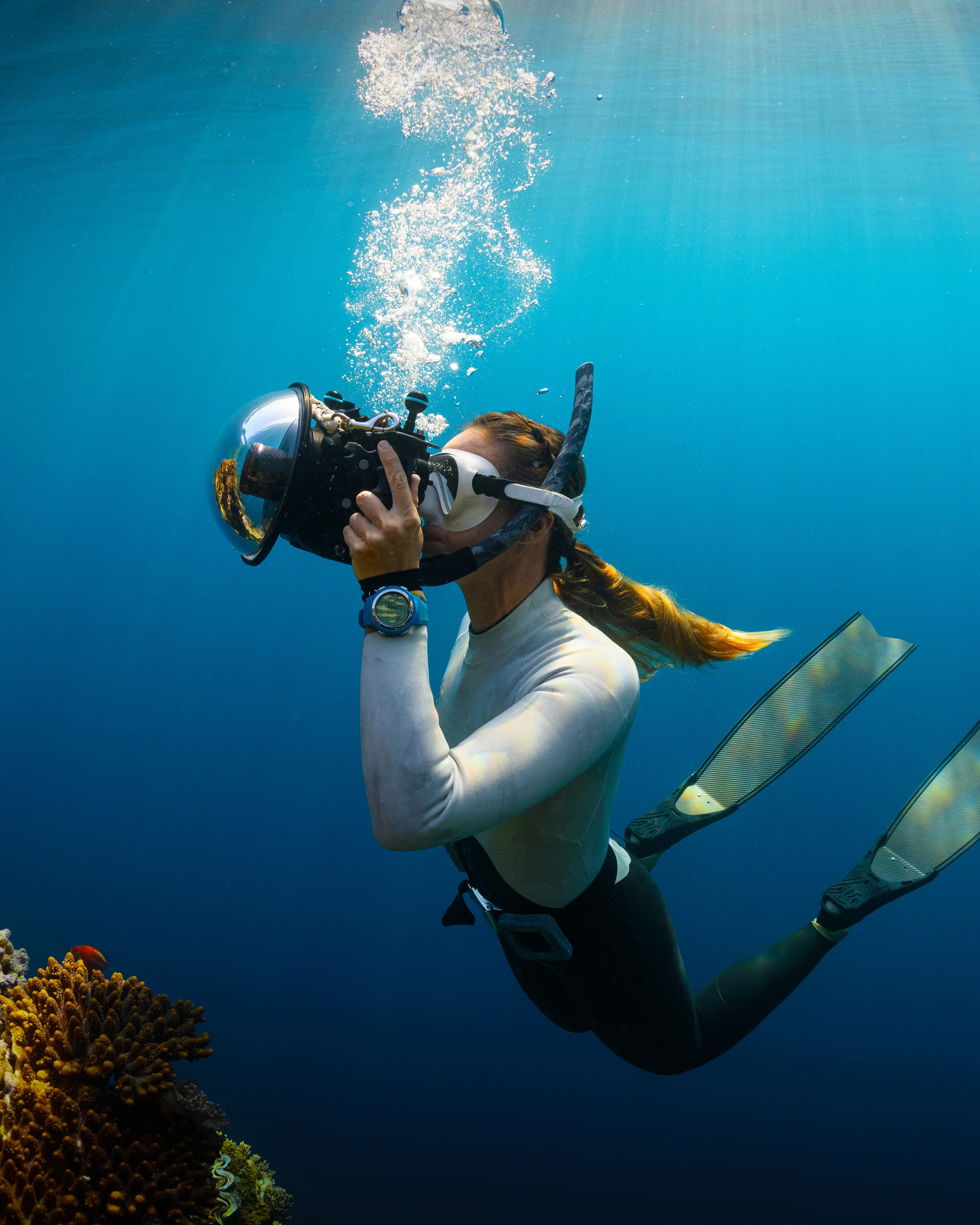 Diving videos from La Galigo Liveaboard